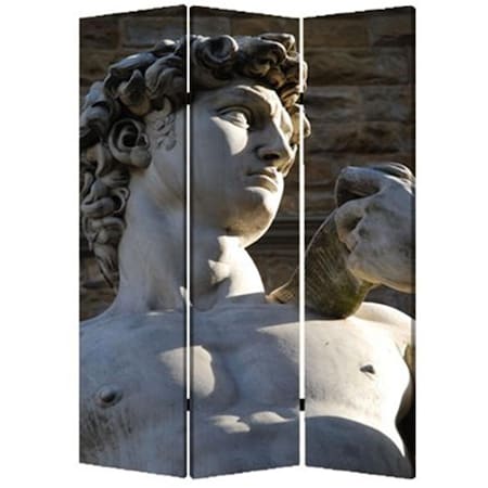 Screen Gems 48 W x 72 H Rome Screen SG-145